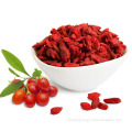 Ningxia Bulk Packing Sun Dried Style Certificated Organic Goji Berry For Health